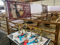 12. Alpakashow in Ilshofen